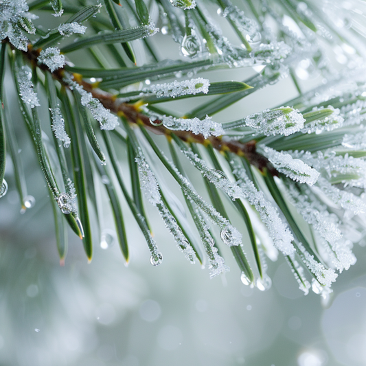 Ambiance spain hivers - Spray - Collection « Sapin Givré » - Enez - Artisan laborantin